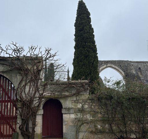 WhatsApp Image 2026-04-29 at 21.58.25 (1)