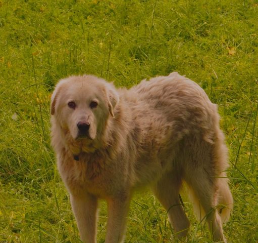 WhatsApp Image 2026-04-29 at 21.58.25 (12)