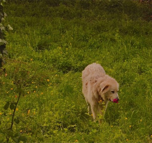 WhatsApp Image 2026-04-29 at 21.58.25 (14)